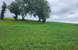 2257 Windswept Way, Morristown, TN 37814