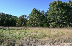Stoney Point Circle lot: 6, Shell Knob, MO 65747