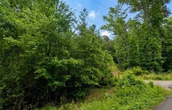 7253 Mountain View Lane, Leeds, AL 35094