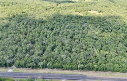 N US Highway 287, CAYUGA, TX 75832