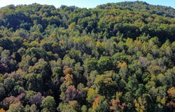 02 Westbourne Rd., Duff, TN 37729