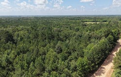 Tract 3 CR 4320, DeKalb, TX 75559