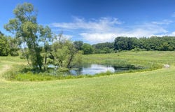 Cassidy Road, Bellevue, MI 49021