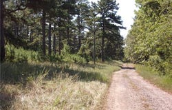 14828 Beneux Bottom RD, Mulberry, AR 72947