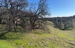16495 Hillcrest Road, Corning, CA 96021