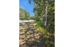 Highway U, Hermitage, MO 65668