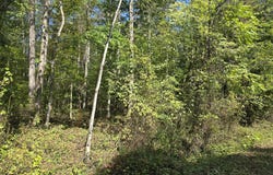 POORHOUSE RD, MADISON, VA 22727