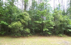E Cavallo Trail, Monticello, FL 32344