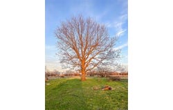 36 Star Road, Quinton, OK 74561