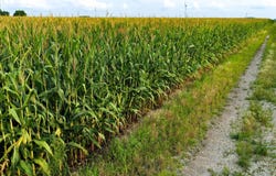 260th Ave, Palmer, IA 50571