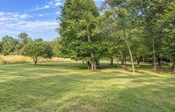 4586 County Road 69, Reeds, MO 64859