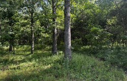 32485 Heritage Trail, Preston, MO 65732