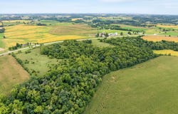 40 +/- Acres Highway 81, Argyle, WI 53504