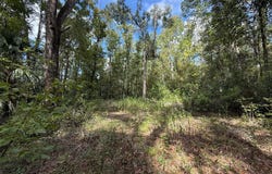 746th St, Old Town, FL 32680