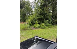 15530 Birdsong Rd, HOLLADAY, TN 38341