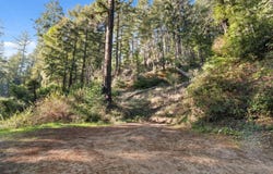 160 Starview PL, BOULDER CREEK, CA 95006