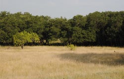 Cr 190, Comanche, TX 76442