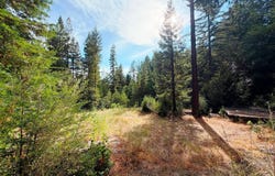 320 Timber Cove, BOULDER CREEK, CA 95006