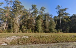 Hwy 21, Springfield, GA 31329