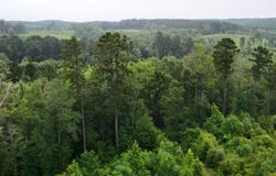 Highline Dr, Zwolle, LA 71486