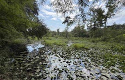 Brickyard Rd, Hammond, LA 70403