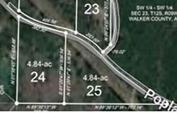POPLAR SPRINGS Rd, Nauvoo, AL 35578