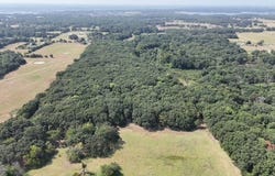 2605, Bonham, TX 75418