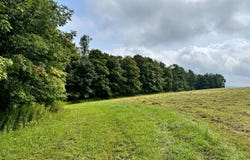 1.3 Brigham Rd, Richford, NY 13835