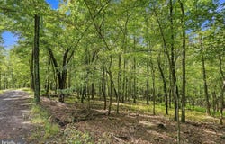 RED MAPLE Drive lot: 69, BAKER, WV 26801