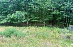 264 Windfall Road, Wells, NY 12190