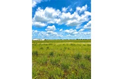 TBD Tract 43 Mcdonald Rd, Eagle Lake, TX 77434