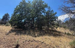 Clark Rd, Hornbrook, CA 96044