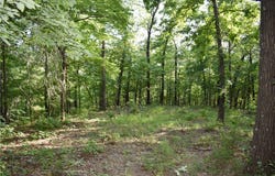 Madison 5430, Elkins, AR 72727