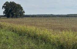 1869 Lafayette County 9, Bradley, AR 71826-0000