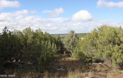 8319 Lone Pine Drive, Show Low, AZ 85901
