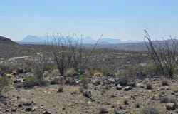 50 Grapestone Rd, Alpine, TX 79852