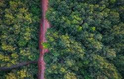 Caney Head Rd, Roopville, GA 30170