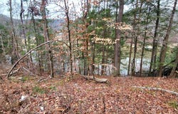 458 CO RD 4036, Arley, AL 35541