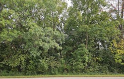 241 Blackhawk Trace, GALENA, IL 61036