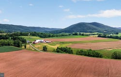 275 RAKERS Lane, DORNSIFE, PA 17823