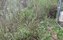 93 Right Fork Bolen Branch, Garrett, KY 41630