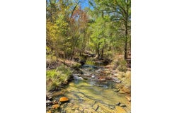TBD (100) Manfred Road, Norman, AR 71960