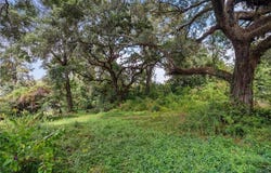 1247 Arcturus Lane, Mobile, AL 36693