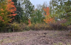 51315 Sand Creek Rd, Bruno, MN 55712