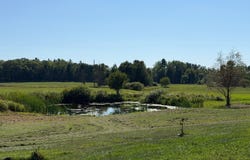 2149 Dixon Line, Finlayson, MN 55735