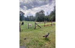 Zenith Mill Road, Roberta, GA 31078