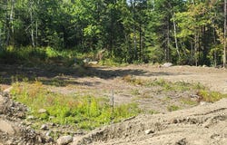 102 Allen Bridge Road, Dixmont, ME 04932
