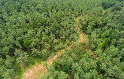 CR 371, WATER VALLEY, MS 38965