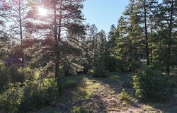 91 Engine Creek Court, Durango, CO 81301