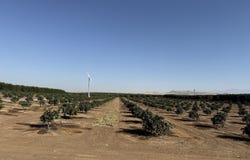 25389 Ave. 120, Porterville, CA 93257